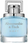 Abercrombie & Fitch Away Man EDT 100 ml Tester Parfum
