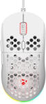 SAVIO HEX-R (SAVGM-HEXWHITE) Mouse