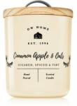 DW HOME Farmhouse Cinnamon Apple & Oats lumânare parfumată 241 g