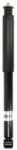 Magnum Technology amortizor Magnum Technology AG1097MT (AG1097MT) - automobilus