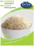 Rédei Kertimag Bio Lucerna Csíráztatásra 30 g