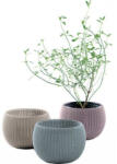 Keter Cozies Trio (230393)