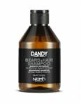 Dandy Szakáll és haj sampon 300 ml