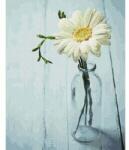  Üvegcsés virág - számfestő keretre feszített vászonnal - 40x50 cm (PC4050799)
