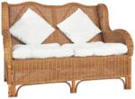 vidaXL Canapea cu 2 locuri, maro deschis, ratan natural și in (325468) Canapea