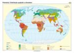  Pământul. Distribuţia spaţială a climatelor