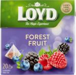 LOYD Erdei gyümölcs ízű filteres tea 20 filter