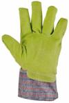 CERVA Fridrich & Fridrich CHUKAR WINT LIGHT 0101011410110