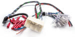 Audison Cablu conectare PLUG Play Audison APBMW ReAMP 1 (APBMW ReAMP 1)