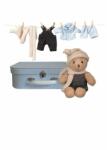 Egmont Toys - Morris- ursuletul cu valiza, (5420023038944)