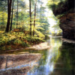 SunsOut 1000 db-os puzzle - Quiet Forest (44720)