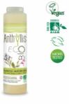 Anthyllis Sampon korpásodás ellen 250 ml