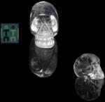  Craniu din Sticla - 35x45x25 mm - ( XL ) - 1 Buc