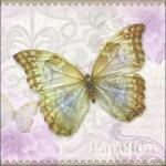 Ambiente Papillon papírszalvéta 33x33cm, 20db-os - szep-otthon