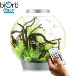 OASE biOrb Classic 105 (71997/98)