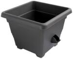Plastia Bergamot 50x50 cm
