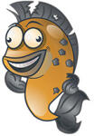Savage Gear 3d minnow popwalker 6.6cm 8g floating sardine php (64081) - sneci