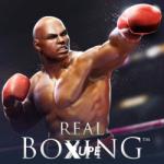 Vivid Games Real Boxing (PC) Jocuri PC