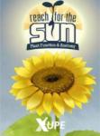 Filament Games Reach for the Sun (PC) Jocuri PC
