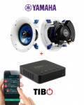 Tibo Bond 4 + Yamaha IC600
