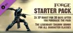 Dark Vale Games Forge Starter Pack (PC) Jocuri PC
