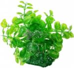  Zöld akváriumi műnövény ovális levelekkel 15 cm