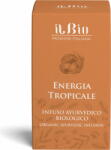 ilBio "Trópusi energia" Ayurveda bio tea - 36 g