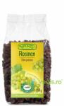 RAPUNZEL Stafide Rosinen Ecologice/Bio 250g
