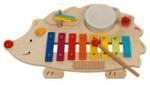 Goki - Set instrumente muzicale copii 6in1 Aricel (GOKI61883)