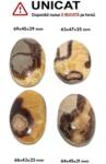 Palm Stone Septaria - Piatra Dragonului Druzy Natural - 63-69 x 43-47 x 25-31 mm - (XXL) - 1 Buc
