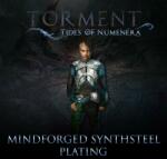 Techland Torment Tides of Numenera Mindforged Synthsteel Plating DLC (PC) Jocuri PC