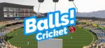 stickee Balls! Virtual Reality Cricket (PC) Jocuri PC