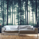 Artgeist Fotótapéta - Dark Forest 350x245