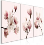 Artgeist Kép - Spring Magnolias (3 Parts) 60x30