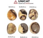 Palm Stone Septaria - Piatra Dragonului Druzy Natural - 49-61 x 38-45 x 24-30 mm - (XXL) - 1 Buc - concepttropic - 25,00 RON