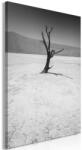 Artgeist Kép - Tree in the Desert (1 Part) Vertical 40x60