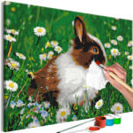 Artgeist Kifestő - Rabbit in the Meadow 60x40