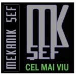 Soft Records Mekanik Sef - Cel Mai Viu