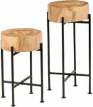 vidaXL Set de mese laterale 2 buc. , lemn masiv de acacia (246207)