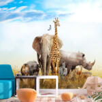 Artgeist Fotótapéta - Fauna of Africa 350x245