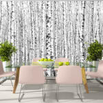 Artgeist Fotótapéta - Birch forest 150x105