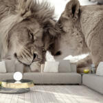 Artgeist Fotótapéta - Lion Tenderness (Sepia) 150x105