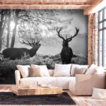 Artgeist Fotótapéta - Deers in the Morning 200x140