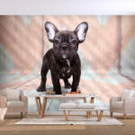 Artgeist Fotótapéta - French Bulldog 200x140