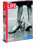 Clementoni Life Collection - Chihuahua 1000 db-os (39634)