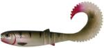 Savage Gear Shad Savage Gear Cannibal Curltail 10cm 5G Perch 4buc (F1.SG.63807)