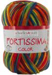 Scholler Fir textil Scholler Fortissima Sosete 4 culori 2405 pentru tricotat si crosetat, 75% lana, Kilt, 421 m (90028-2405) - cusutsibrodat