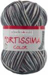 Scholler Fir textil Scholler Fortissima Sosete 4 culori 2407 pentru tricotat si crosetat, 75% lana, Gri, 429 m (90028-2407) - cusutsibrodat
