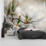 Artgeist Öntapadó fotótapéta - Subtle Magnolias - Second Variant 245x175