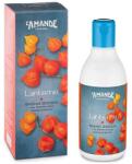 L'Amande Lanterne - Gel de duș 250 ml